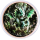 ab Lager Echtbilder** 1 oz Kupferedition - BABY-DRACHE / DRAGON - Der Kleine Walddrache - Die Legende der Drachenbabies - Copper Color