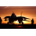 ab Lager 1 oz Tuvalu 2026 Proof - TOP GUN 40 Jahre Action Film - Silber Color 1 $