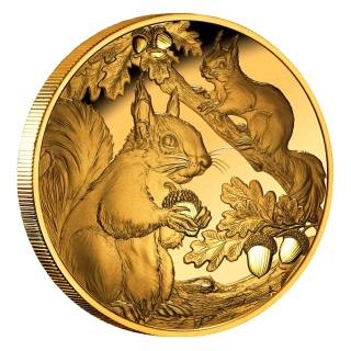 1 oz Gold Niue 2026 Proof - Eichhörnchen / Squirrel - Auflage 30 - 100 NZ$
