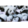 in Kürze** 30 g China PANDA 2027 BU - Silberpanda - 10 Yuan  - 2027er Motiv