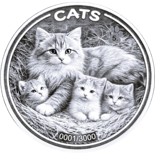 in kürze** 1 oz Fiji 2026 Prooflike - CATS KATZEN Katzenfamilie - Silber Serie Katzen Ausgabe 5 - 50 cent
