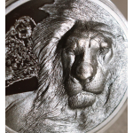 2 oz Tansania 2023 Black Proof - LÖWE / LION - Growing Up - 2 Prägerechniken : Black Proof + Proof Finish - Silber 1,500 Shillings