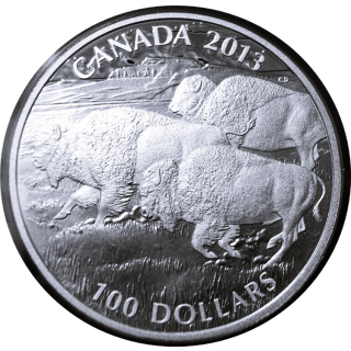 Kanada 100 Dollar 2013 Silber Bison Stampede Canada Proof 100 CAD