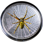 1 oz Cook Islands 2016 Proof Konkav - Wespenspinne / Wasp Spider - Magnificent Life High Relief - Silber $5 - Coin Invest Liechtenstein Smartminting