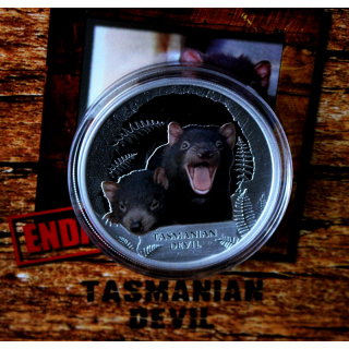 1 oz Tuvalu 2013 Proof - Tasmanischer Teufel / Tasmanian Devil - Endangered series Perth Mint - Silber coloriert - 1$
