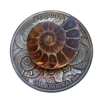 1 oz Burkina Faso 2016 - AMMONITE - World of Evolution - Silber Antik Metallic 1,000 Frs - 465 Millionen Jahre alter Ammonite